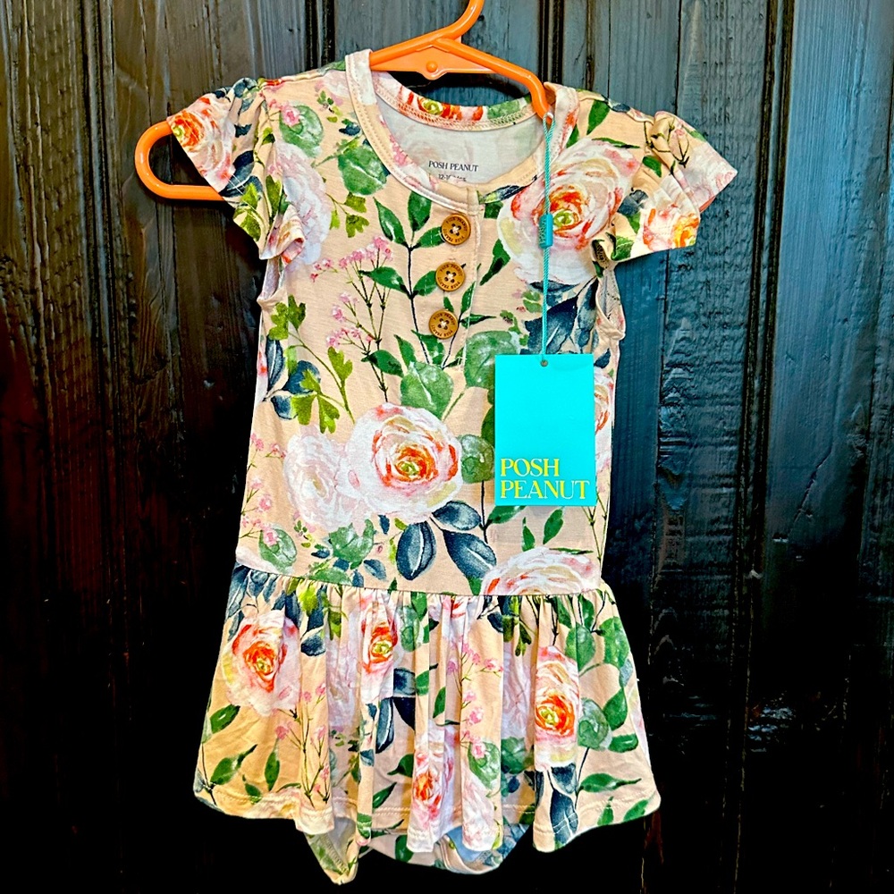 Posh Peanut NWT Twirl Skirt Bodysuit Dress 12-18 Months